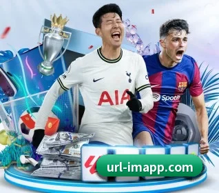 IM体育 APP 界面