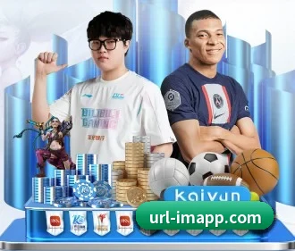 IM体育 APP